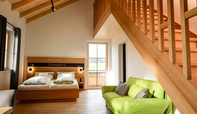 Design apartment with gallery and reading corner