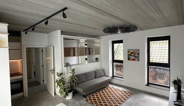 Design loft Cathéderale/hyper center