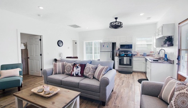 Designed for Comfort | Modern | Close to MSU