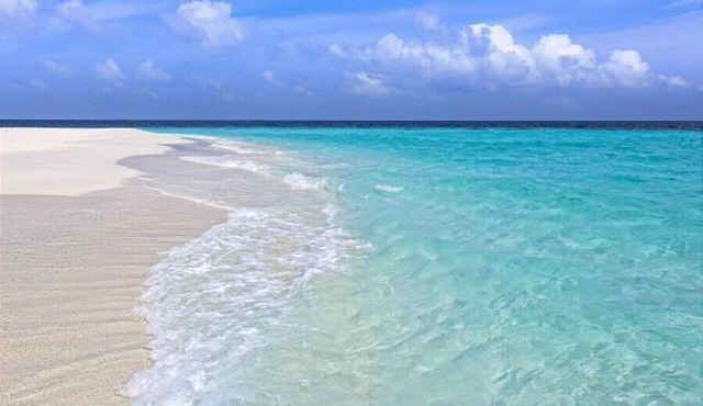 "Destin Nation By You" Miramar Beach, Gulf Views, Pool, Deeded Beach Access