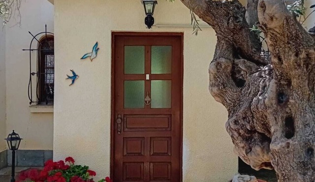 Detached holiday home with unique sea view, perfect located at the sea, Wifi | A