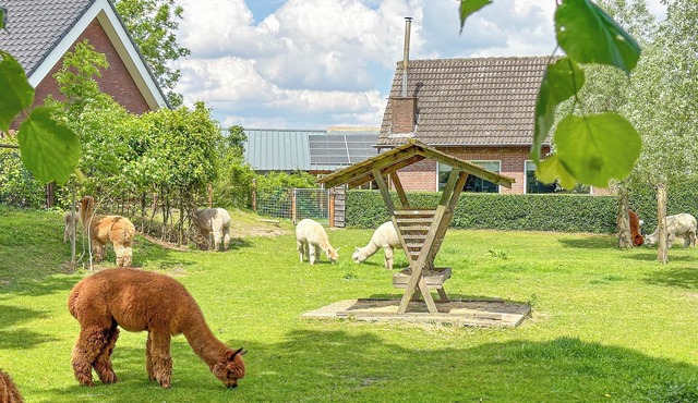 Detached house on an alpaca farm