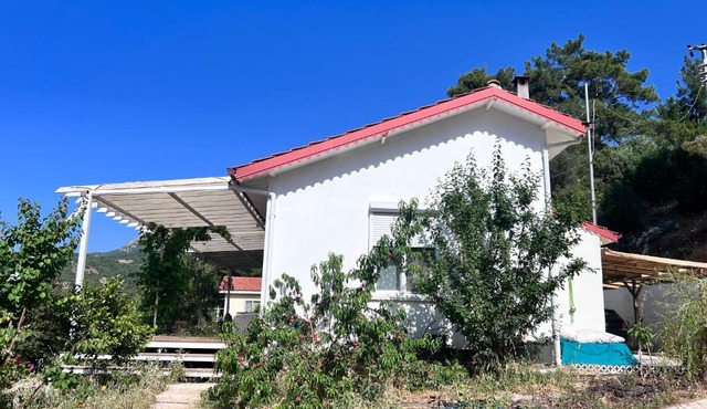 Detached house surrounded by fruit trees, very close to Olympos and Çıralı