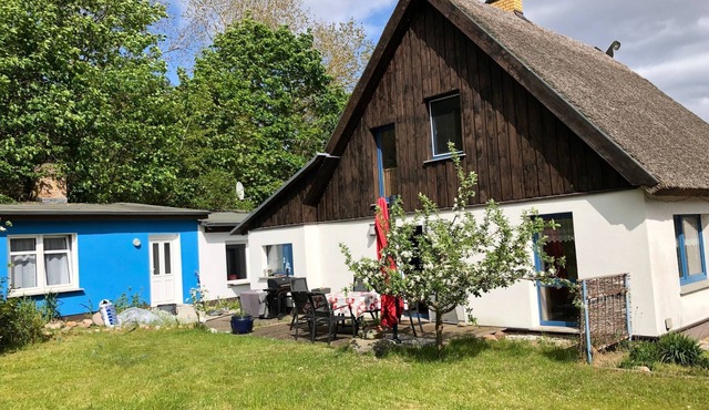 Detached large holiday home with garden on the edge of the forest - Large holiday home Usedom