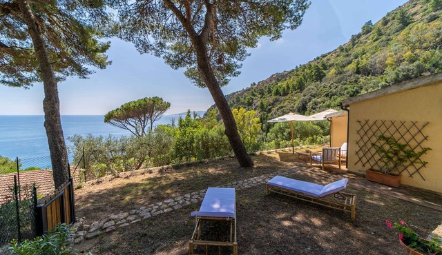 Detached villa by the sea