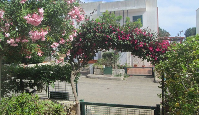 Detached villa in a village on the Ionian