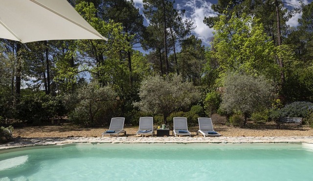 Detached villa with great garden and pool - 915 ROU
