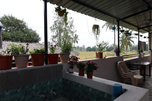 Devi Homestay