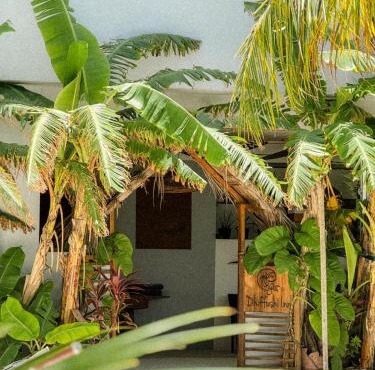 Dhiffushi Inn