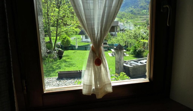 Dialley prato Cir0014