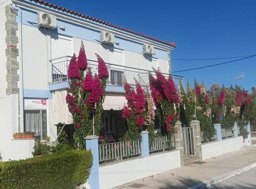 Diamanti Studios