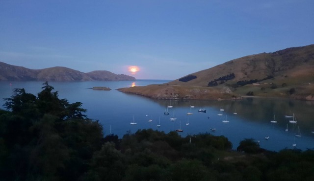 Diamond Harbour Hideaway Top Flat -Amazing views