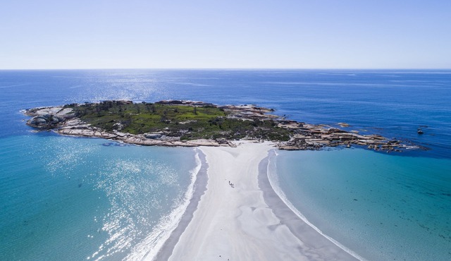 Diamond Island Resort & Penguin viewing