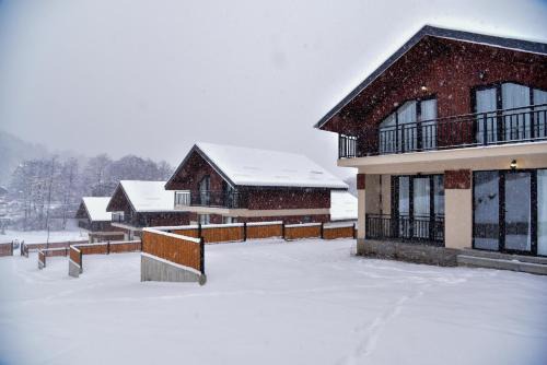 Didveli Panorama