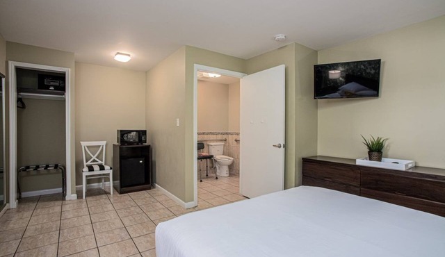 Digital Retro Boutique Hotel - Wheelchair Accessible Single Queen Near Downtown St. Augustine & the Beach