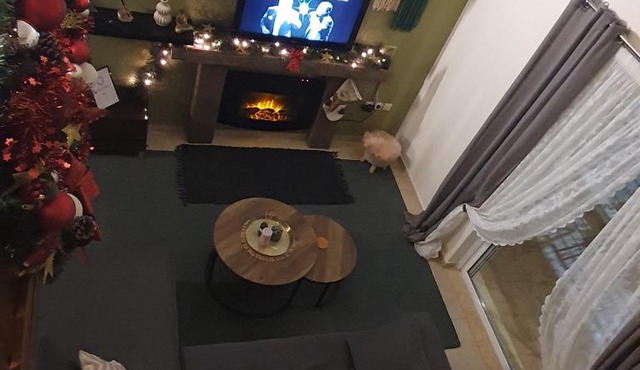 Dimitris apartments