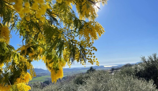 Dimora Borgo Gaon - Casa Elios