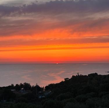 Dimora degli Ulivi