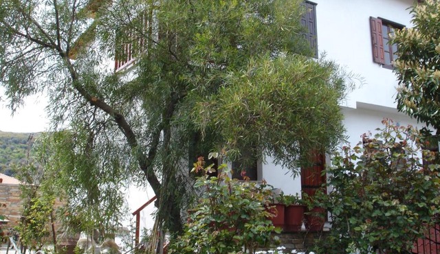 DINA STUDIo
