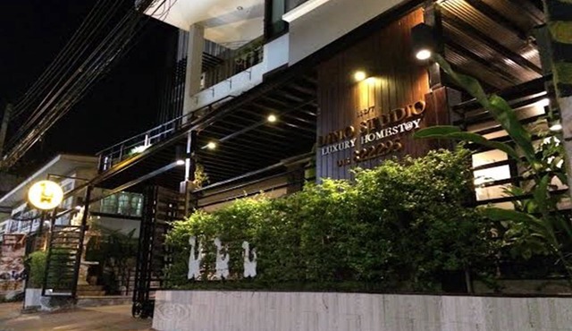 Dino Studio
