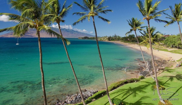 Direct Oceanfront! 180° Ocean Views. Brand new Remodel. With AC.