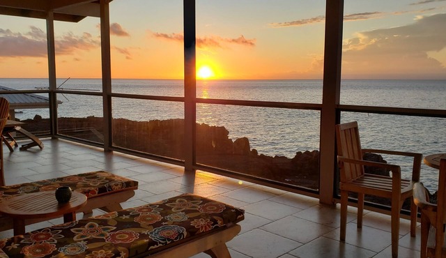 Direct OCEANFRONT, Custom Polynesian Design, See WHALES & DOLPHINS, Sunbathing