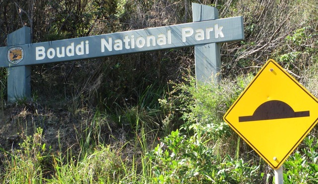 Directly on Putty Beach Reserve, Relaxing well Maintained Studio level