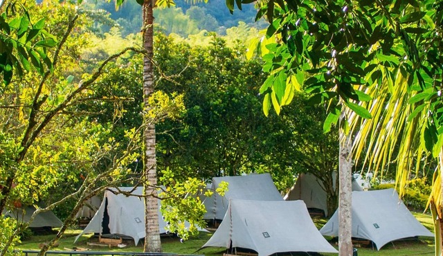 Disconnect and Relax: Luxury Camping by the Lake