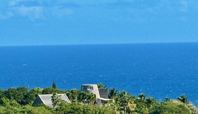 Discover Paradise! Nevis Island-St. Kitts. Historic Sugar Mill. Ultimate Getaway