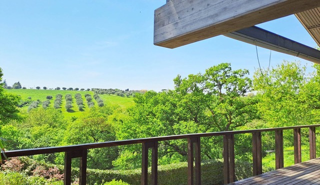 Discover the unique charm of Villa New Star in Sacrofano, an architectural masterpiece nestled in th