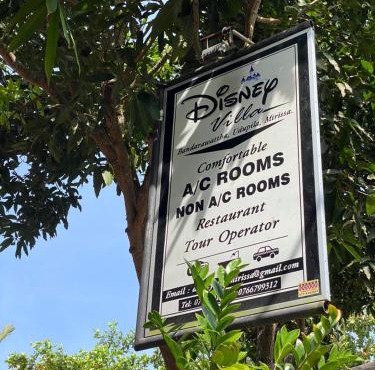 Disney Villa