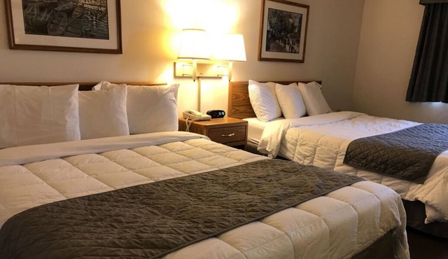 Dive Into Your Dream Vacation! 2 Comfortable Units, Free Parking, Pets Allowed