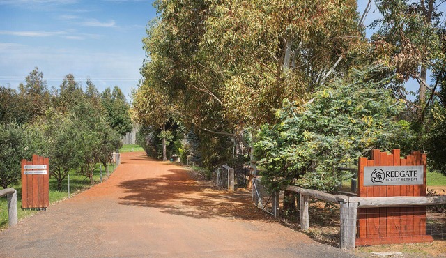 Djarlma at Redgate Forest Retreat