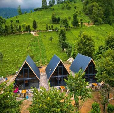 Doğallife suit bungalow