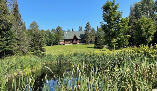 Dog friendly 100 acres of private woods hiking trails sleeps 8 play set