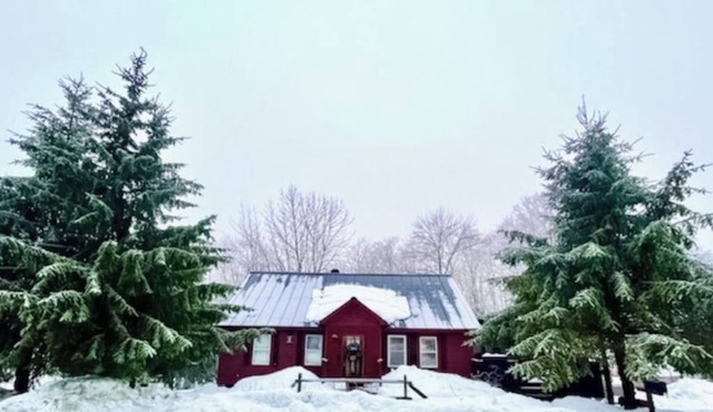Dog-friendly getaway with mountain views, games, & deck - near skiing & trails