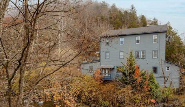 Dog-friendly, riverfront home with games galore, pool, & mountain view