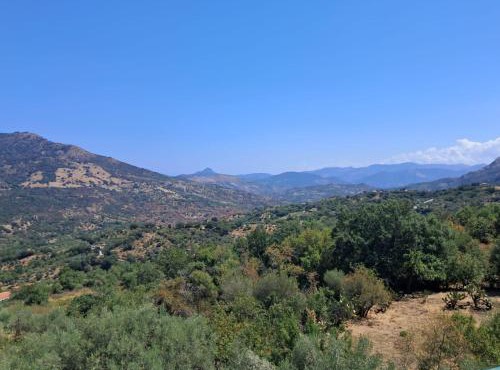 Dolce-Vista