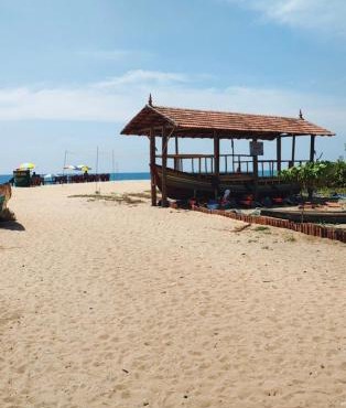 Dolphin beach resort