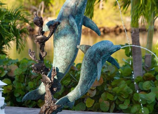 Dolphin Cove