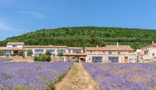 Domaine Château du Bois Provence