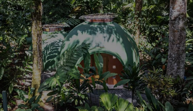 Dome shaped bungalow in a lush tropical forest, steps away from ocean views.