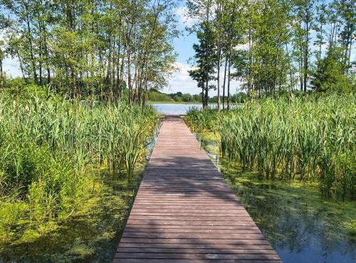 Domek nad jeziorem