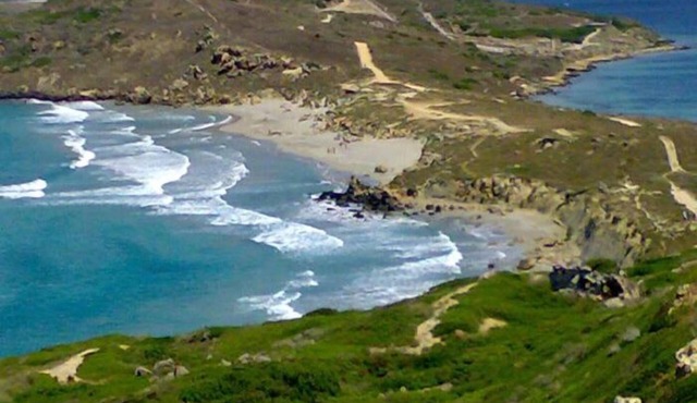 Domu de Palla