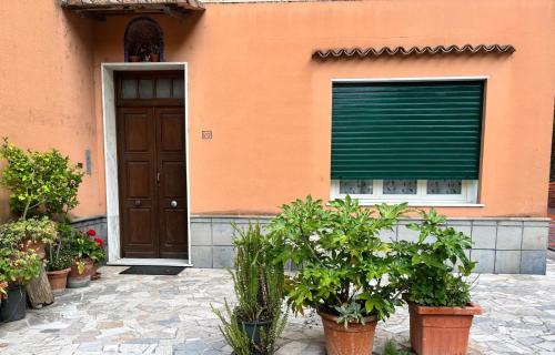 Domus Mea
