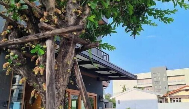 Don Muang Lantern Suites with Maid Service