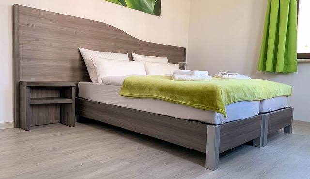 Double room-Classic-Private Bathroom-Apartment
