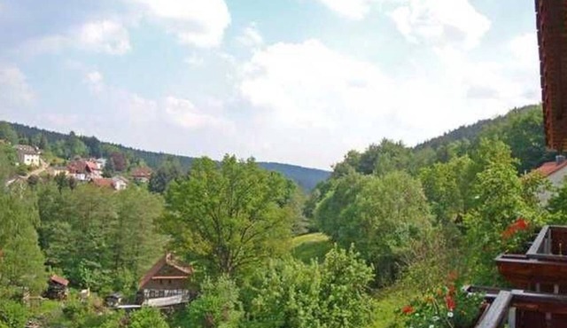 Double Room with Balcony 2 - Gasthaus Zum Pälterwald