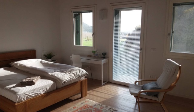 double room with balcony and view - private bathroom