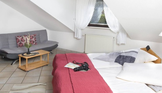 Double room with sofa bed - Hotel-Restaurant Im Goldenen Grund